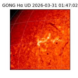 gong - 2026-03-31T01:47:02