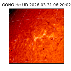 gong - 2026-03-31T06:20:02