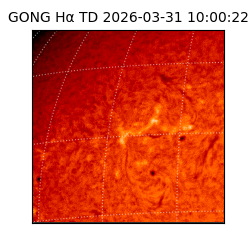 gong - 2026-03-31T10:00:22