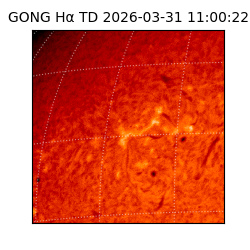 gong - 2026-03-31T11:00:22