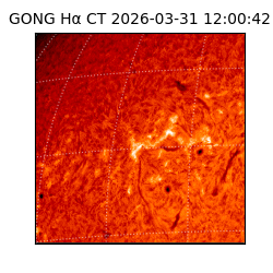 gong - 2026-03-31T12:00:42