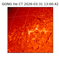 gong - 2026-03-31T13:00:42