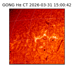 gong - 2026-03-31T15:00:42