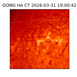 gong - 2026-03-31T19:00:42