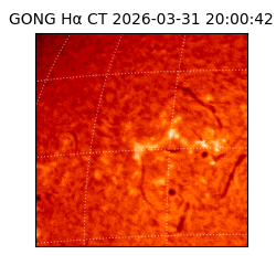 gong - 2026-03-31T20:00:42