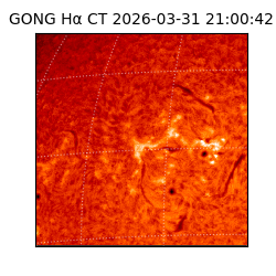 gong - 2026-03-31T21:00:42