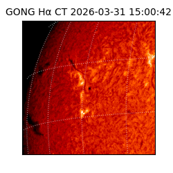 gong - 2026-03-31T15:00:42