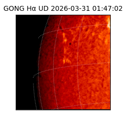 gong - 2026-03-31T01:47:02