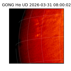 gong - 2026-03-31T08:00:02