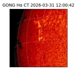 gong - 2026-03-31T12:00:42