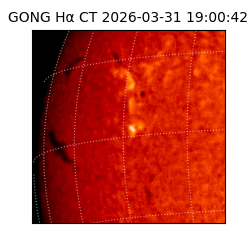 gong - 2026-03-31T19:00:42