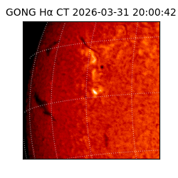 gong - 2026-03-31T20:00:42