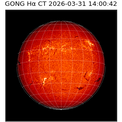 gong - 2026-03-31T14:00:42
