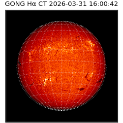 gong - 2026-03-31T16:00:42