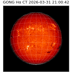 gong - 2026-03-31T21:00:42
