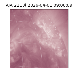 saia - 2026-04-01T09:00:09.624000