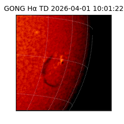 gong - 2026-04-01T10:01:22