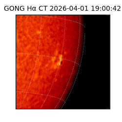 gong - 2026-04-01T19:00:42