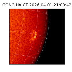 gong - 2026-04-01T21:00:42