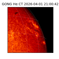 gong - 2026-04-01T21:00:42