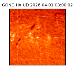 gong - 2026-04-01T03:00:02