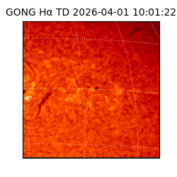 gong - 2026-04-01T10:01:22