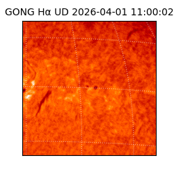 gong - 2026-04-01T11:00:02
