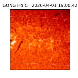 gong - 2026-04-01T19:00:42