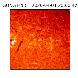 gong - 2026-04-01T20:00:42