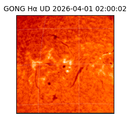 gong - 2026-04-01T02:00:02