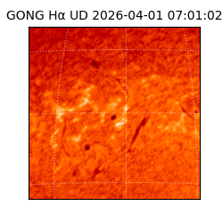 gong - 2026-04-01T07:01:02