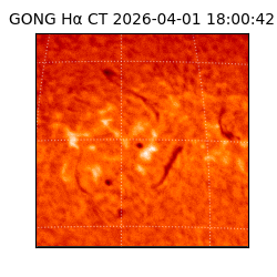 gong - 2026-04-01T18:00:42