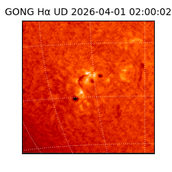 gong - 2026-04-01T02:00:02