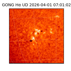 gong - 2026-04-01T07:01:02