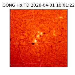 gong - 2026-04-01T10:01:22