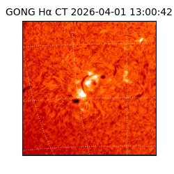 gong - 2026-04-01T13:00:42