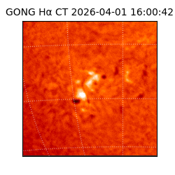 gong - 2026-04-01T16:00:42