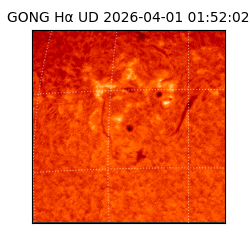 gong - 2026-04-01T01:52:02