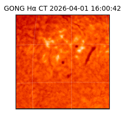 gong - 2026-04-01T16:00:42