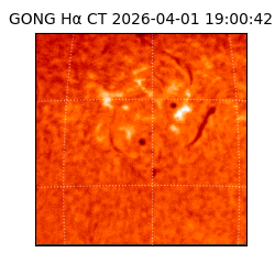 gong - 2026-04-01T19:00:42