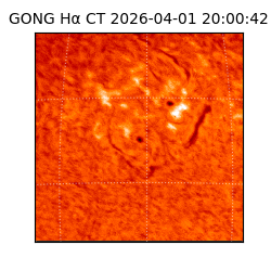 gong - 2026-04-01T20:00:42