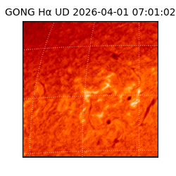 gong - 2026-04-01T07:01:02