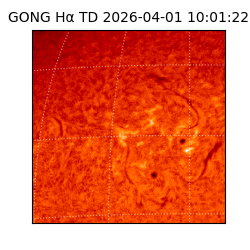 gong - 2026-04-01T10:01:22