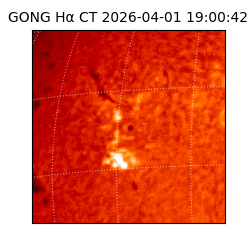 gong - 2026-04-01T19:00:42