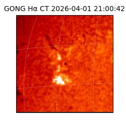 gong - 2026-04-01T21:00:42