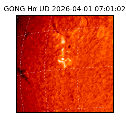 gong - 2026-04-01T07:01:02