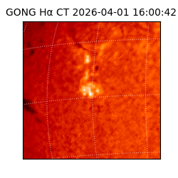 gong - 2026-04-01T16:00:42