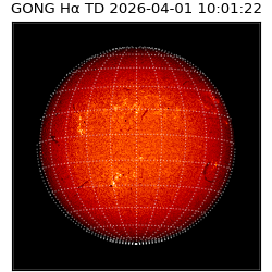 gong - 2026-04-01T10:01:22