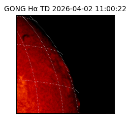 gong - 2026-04-02T11:00:22