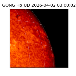 gong - 2026-04-02T03:00:02